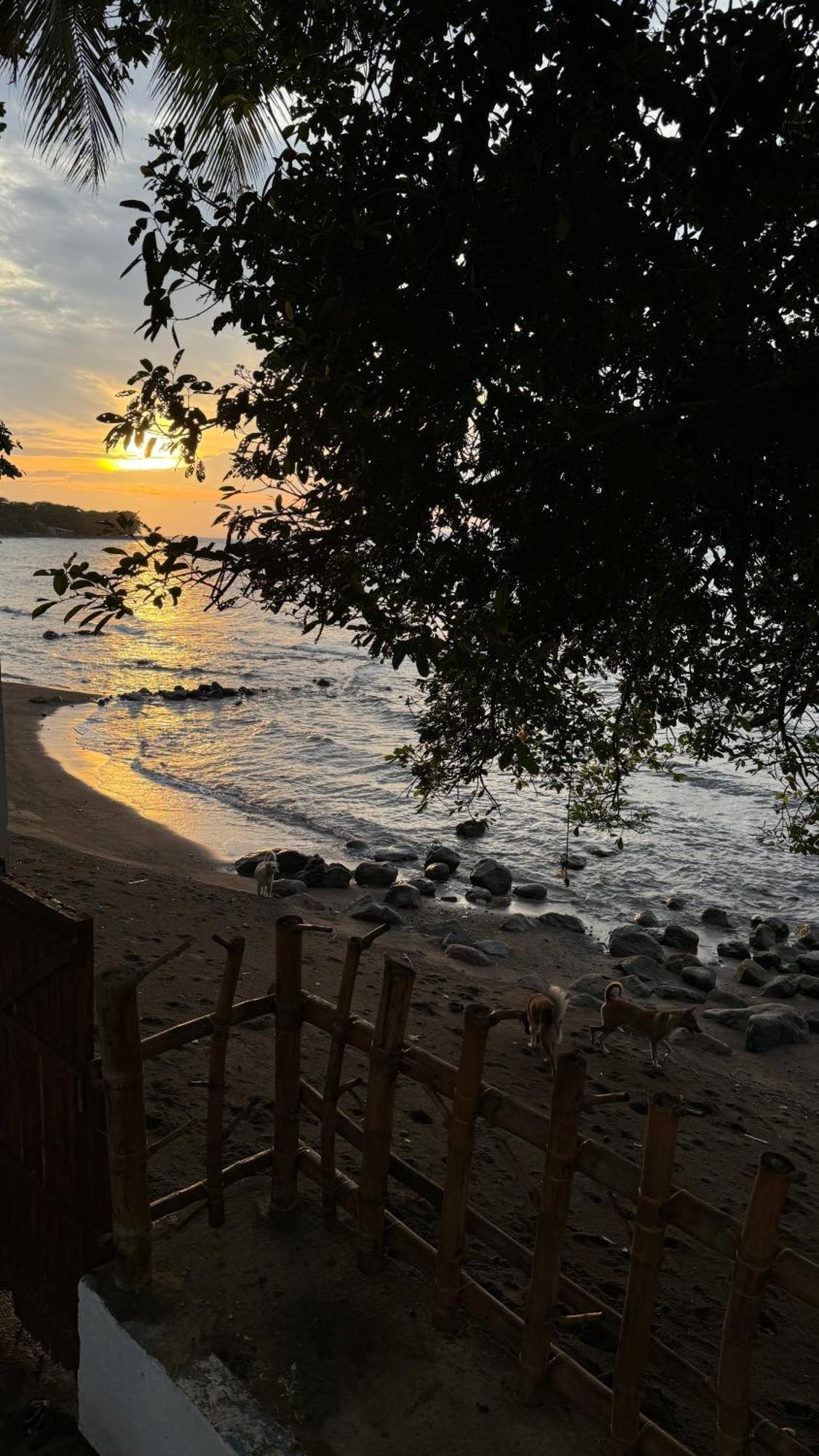 E-Fun Dive Resort Dauin Dış mekan fotoğraf